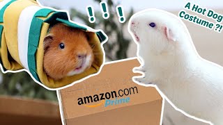 My Guinea Pigs Test Popular Amazon Products!
