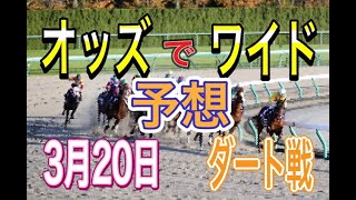 【競馬予想】3月20日　自己流のオッズ法とデータを使いダート戦だけを予想します。