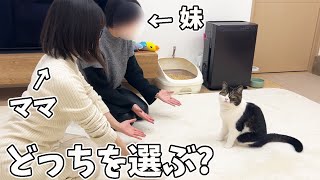 名前を呼ぶと息子猫はママと大好きなママの妹どちらに来るのか試してみたらまさかの結果…