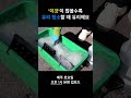 유리창 청소 전문가가 세제 거품 만드는 영상 shorts