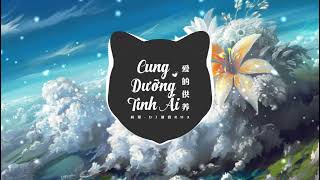 Cung Dưỡng Tình Ái (爱的供养) - 杨幂 | DJ细霖 Remix