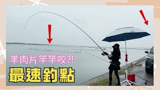 羊肉釣餌 雨天蚵棚竿竿咬？想鑽蚵棚~那就手速拼起來［最速釣點3］#磯釣 ｜雪莉一隻羊