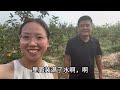 小兩口第五年賣獼猴桃，去年賣了10000單，今年努力再創新高 vlog 生活 创业