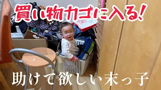 【買い物カゴに入る1歳1ヶ月の女の子】助けてほしいと言ってるように聞こえる【四人育児】