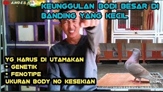 UTAMAKAN GENETIK DAN FENOTIPE YG MENDUKUNG, SOAL BODY KECIL ATAU BESAR GAK TERLALU JADI MASALAH