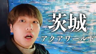 【Vlog】アクアワールド 茨城県大洗水族館に行ってきた！