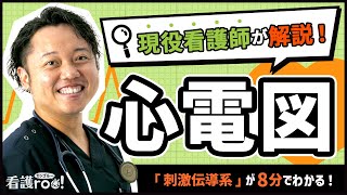 【心電図の読み方】わかりやすい解説（刺激伝導系）