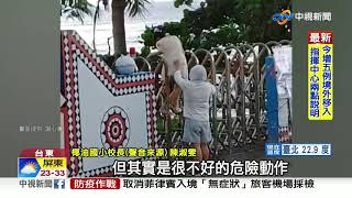 離譜! 蘭嶼椰油國小 遊客擅闖攀爬鐵門.旗杆│中視新聞 20201019