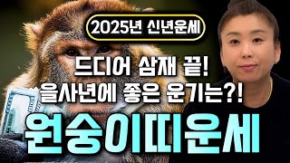 🌟2025년 을사년 원숭이띠운세🌟 조상님이 통장에 100억을 벌어다준다!! 초대박나는 원숭이띠운세! 돈벼락 맞아봅시다~ 56년생 68년생 80년생 92년생 04년생 원숭이띠 운세!