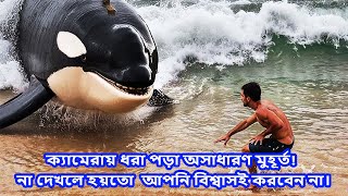 ক্যামেরায় ধরা পড়া অসাধারণ মুহূর্ত! না দেখলে হয়তো  আপনি বিশ্বাসই করবেন না।