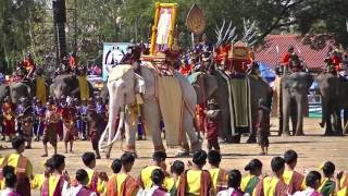 Surin Elephant Round-up Festival 2015 Closing Ceremony