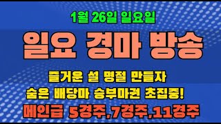 [정기용경마TV] 즐거운 설 명절 만들자//1월26일 일요경마 숨은 배당 승부 서울5경주,7경주 초집중!!