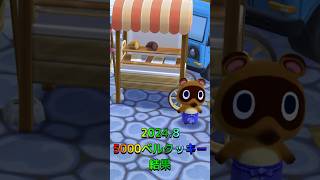 【ポケ森】2024.8月5000ベルクッキー結果 #shorts #ポケ森 #どうぶつの森ポケットキャンプ #どうぶつの森 #acpc #animalcrossing