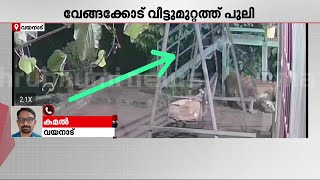 വയനാട് വൈത്തിരിയിൽ പുള്ളിപ്പുലി വീട്ടുമുറ്റത്ത്; വനംവകുപ്പ് അധികൃതർ സ്ഥലത്തെത്തും | Leopard