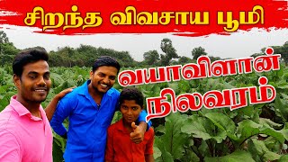 வயாவிளான் பகுதியின் நிலவரம் | மீள் குடியேற்றப்பட்ட காணிகள் | Vayavilan