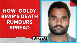 Goldy Brar News Today | How Gangster Goldy Brar's Death Rumours Spread, Forcing US Cops To Clarify