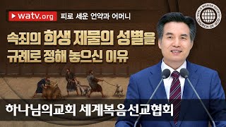 [하나님의교회 설교] 피로 세운 언약과 어머니 | 어머니하나님