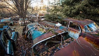 Båstnäs Car Graveyard - apleistazona.lt