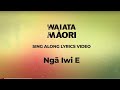 Ngā Iwi E - Lyrics Video - Waiata Māori