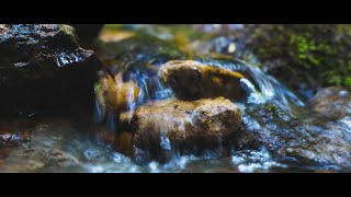 RIVER  | Cinematic movie | Nature videos | B-roll | Videography | ASMR | 4K