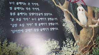 엄마를 기다리는 아기 올빼미