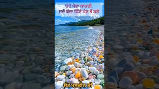 ਉਹ ਸੇਵਾ ਕਾਹਦੀ ਜੇ ਛਿੱਟੇ ਪੈਣ ਤੋਂ 2024 । #shortvideo #shortsvideo #short #gurbani #motivation #reels ।