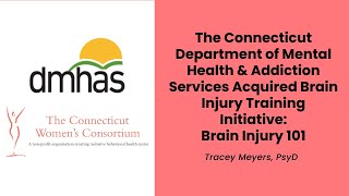 The Connecticut DMHAS Acquired Brain Injury Training Initiative: Brain Injury 101