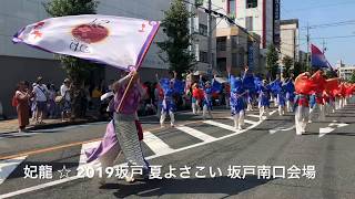 妃龍☆2019坂戸 夏よさこい /坂戸南口会場