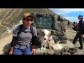 秋の茶臼岳（那須岳）・朝日岳　犬連れ登山