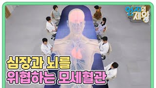 작은 혈관이 협십증? 뇌경색? 심장과 뇌를 위협하는 모세혈관 MBN 230411 방송