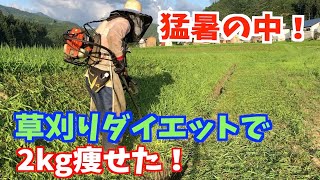 【草刈り】ナイロンコードぐるがりでまたまた畦・水路・法面を刈る。結果2kg 痩せてやつれた。