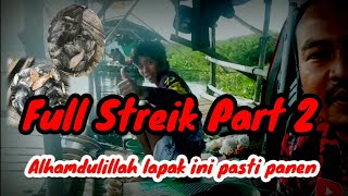 mancing jatiluhur // 👍👍 Full streik memang lapak idaman