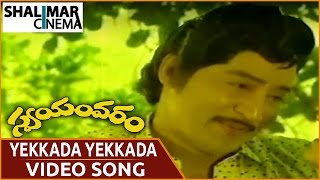 Swayamvaram Movie || Yekkada Yekkada Video Song || Shobhan Babu,Jayapradha || Shalimarcinema