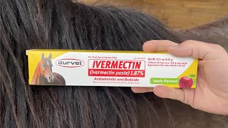 DURVET/EQUINE 698454 Ivermectin Paste 1.87% for Horses | Review \u0026 Demonstration