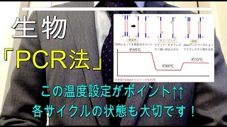 高校生物「PCR法」