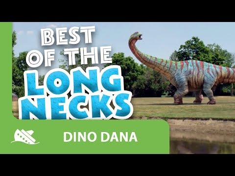 dino dan dino trackers