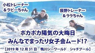 ポカポカ陽気の大晦日　みんなでまったり女子会ムード【2019年12月31日　鴨川シーワールド　シャチプール】