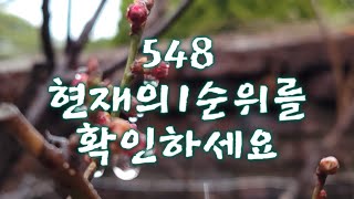 [새벽5시세포명상]548.현재 당신의 1순위는?