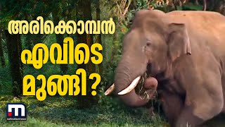 അരിക്കൊമ്പന്‍ എവിടെ മുങ്ങി? ദൗത്യം ഇനിയും നീളും  | Mathrubhumi News | Mission Arikomban