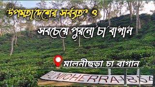 উপমহাদেশের সবচেয়ে প্রাচীন চা বাগান মালনীছড়া ভ্রমণ || tour malinicherrra || Sylhet tour