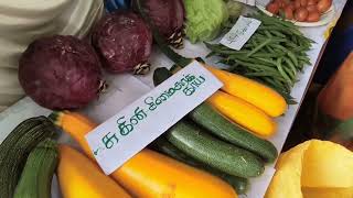 kotagiri Vegetable show 2023 #kotagiri #Vegetable #show #2023 | #hillsandme |Ooty The Nilgiris