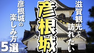 【滋賀旅行/観光】彦根市のシンボル「彦根城」！５つの楽しみ方