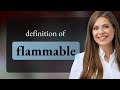 Flammable — what is FLAMMABLE definition