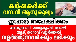 കർഷകർക്ക് വമ്പൻ ആനുകൂല്യം ഇപ്പോൾ അപേക്ഷിക്കാം | PM kisan updates | Cow Kisan credit card malayalam