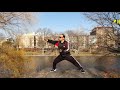 纽约中央公园郑文沛在哈莱姆湖畔山顶峭石太极演练 zhengwenpei taijiquan exercise in central park new york