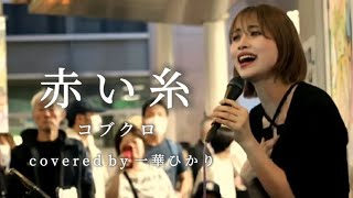 【毎日投稿】赤い糸 / コブクロ covered by 一華ひかり  8/100