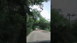 Dungarpur - Kunderki Road