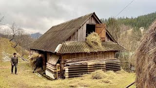 Simple rural family life in the Carpathians mountain 🏔️