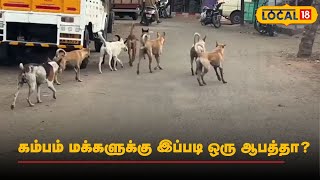 கம்பம் மக்களுக்கு இப்படி ஒரு ஆபத்தா? | #local18