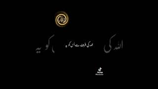 urdu islamic video Urdu Status Islamic Whatsapp Status